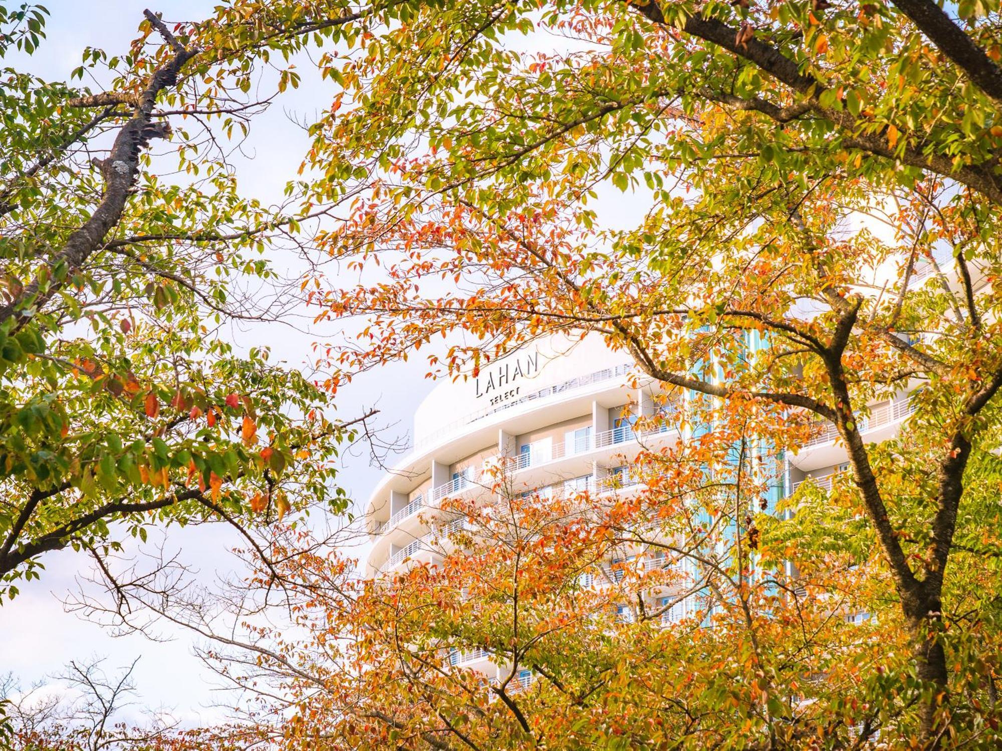 Lahan Select Gyeongju Exterior foto